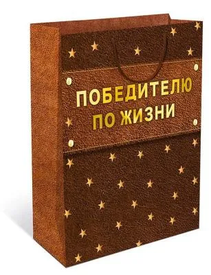 0292.155 Пакет подарочный Арт и Дизайн 18х22,3 см "Победителю по жизни"
