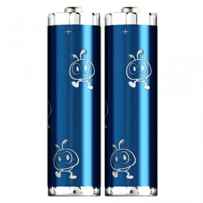 Батарейка Smartbuy алкалиновая LR6/2B MAXX (SBBM-2A02B)