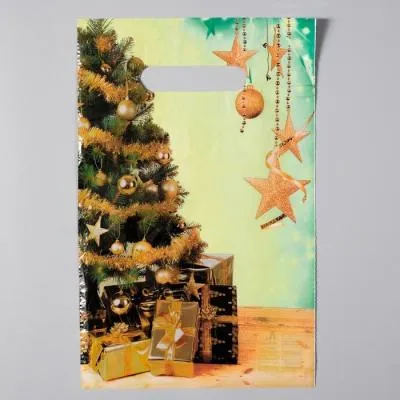 Пакет "Нарядная ёлка", полиэтиленовый с вырубной неусиленной ручкой, 20х30 см, 35 мкм 4601324