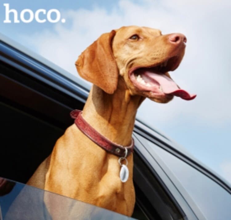 i_fHyZ55zZ8.jpg i_fHyZ55zZ8.jpg